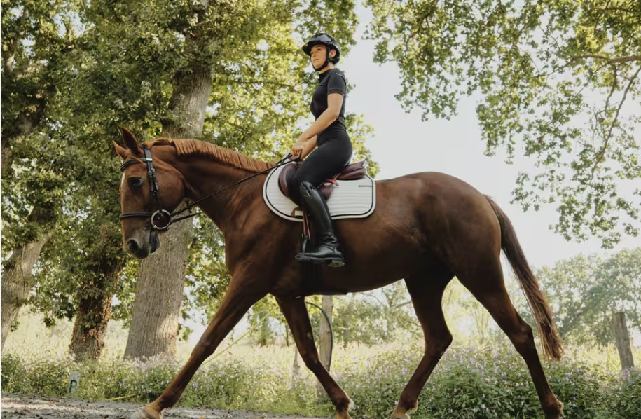 Mujer montando un caballo