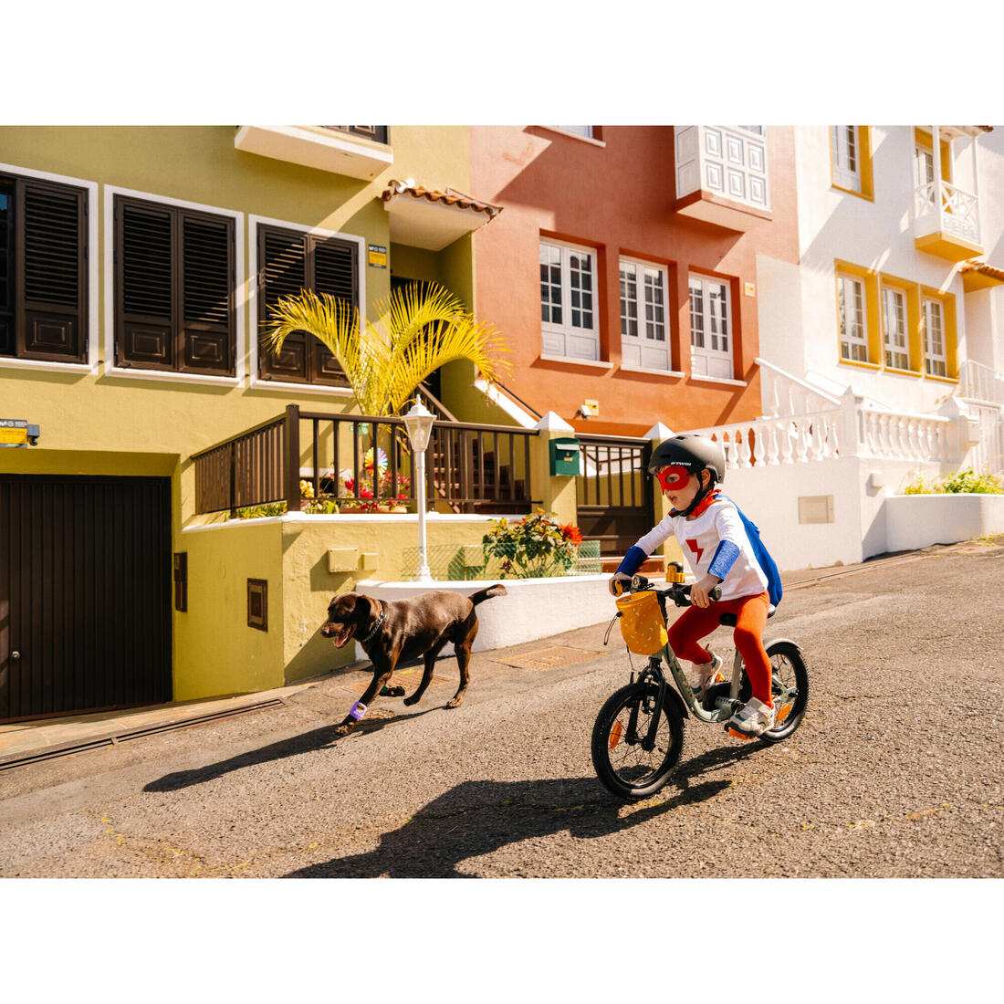 IMG_8578900_14