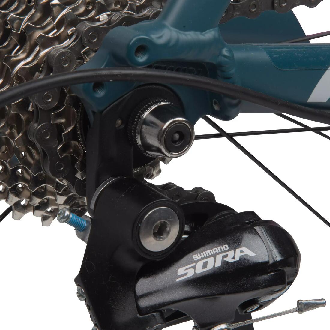 IMG_8373495_5