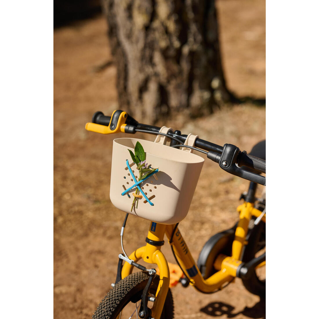 IMG_8842931_7