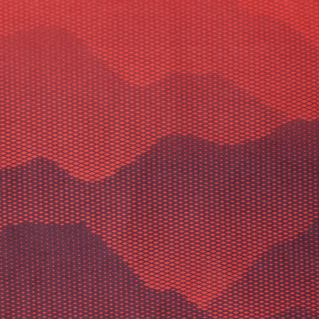 IMG_8616253_3
