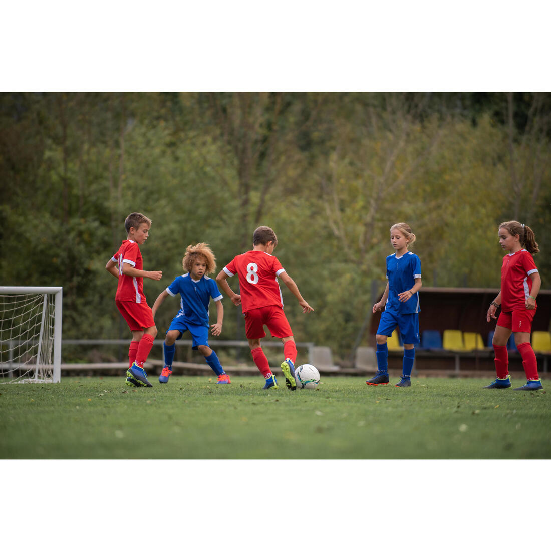 IMG_8497094_14