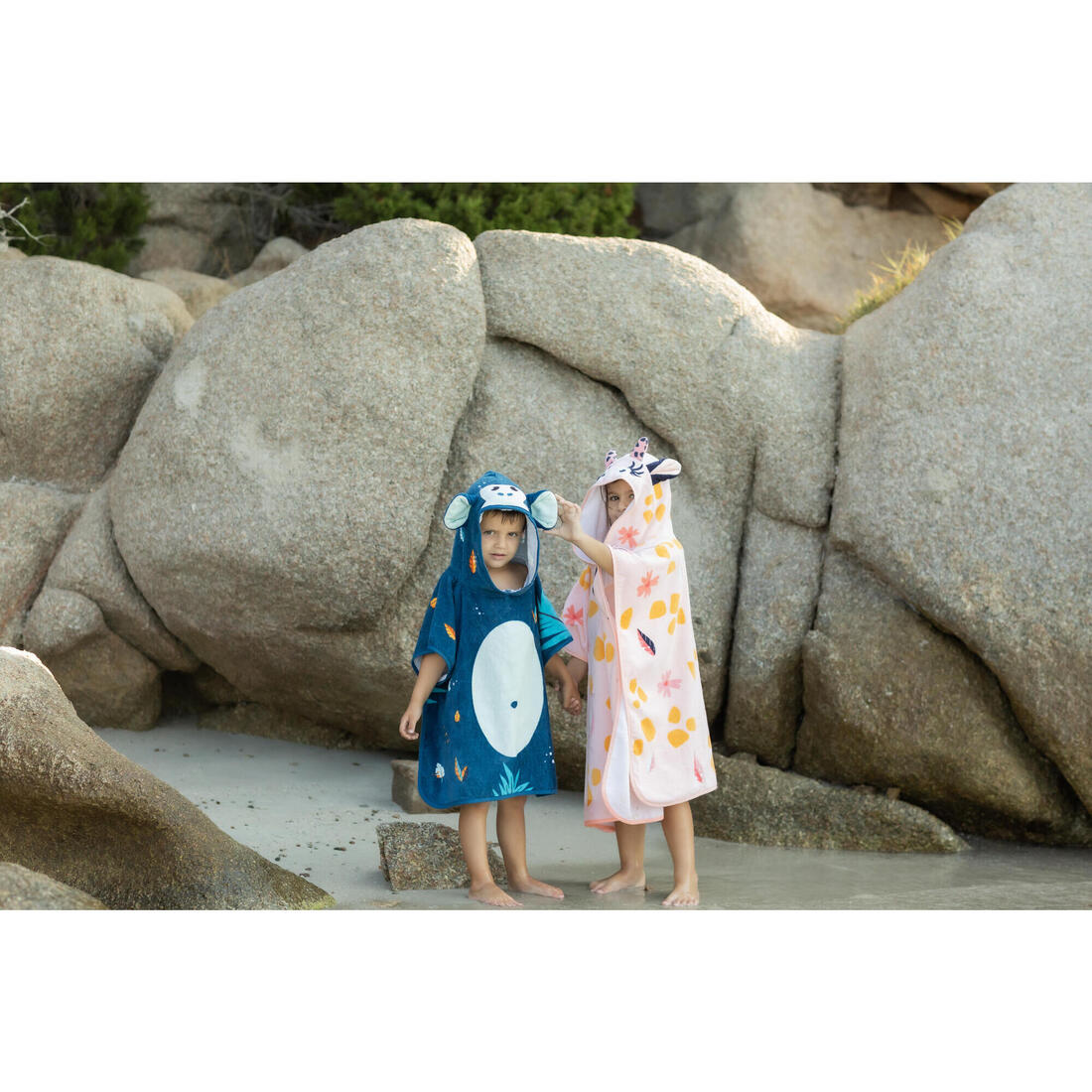 IMG_8667557_8