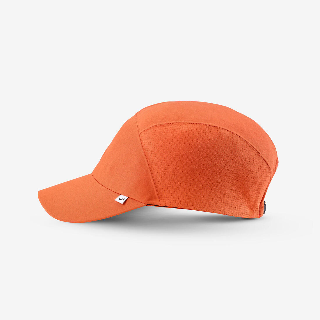 IMG_8916425_5