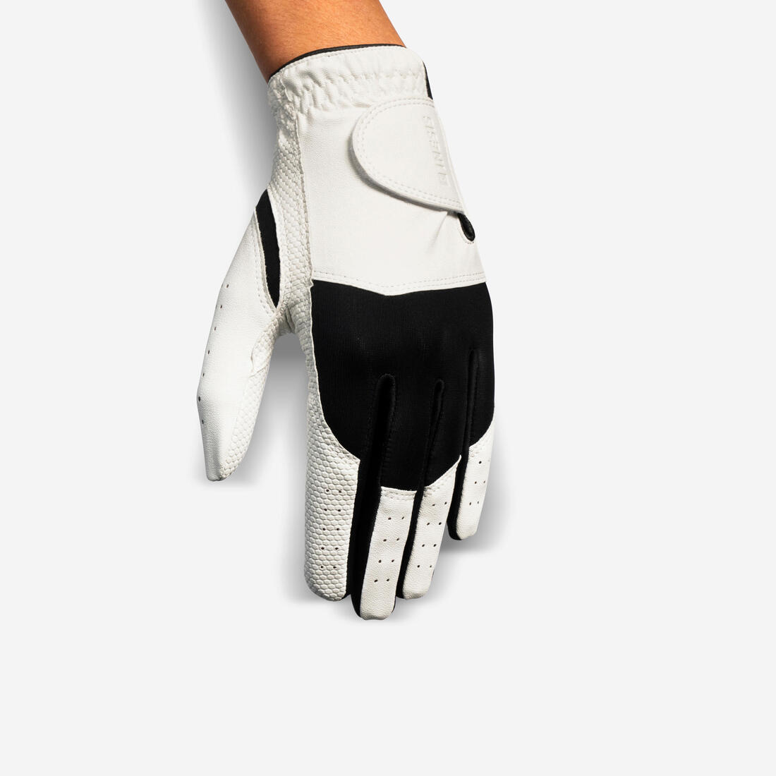 IMG_8543482_1