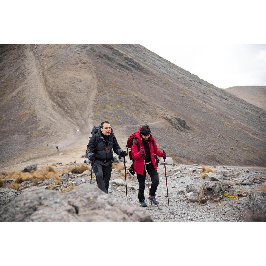 IMG_8731062_17
