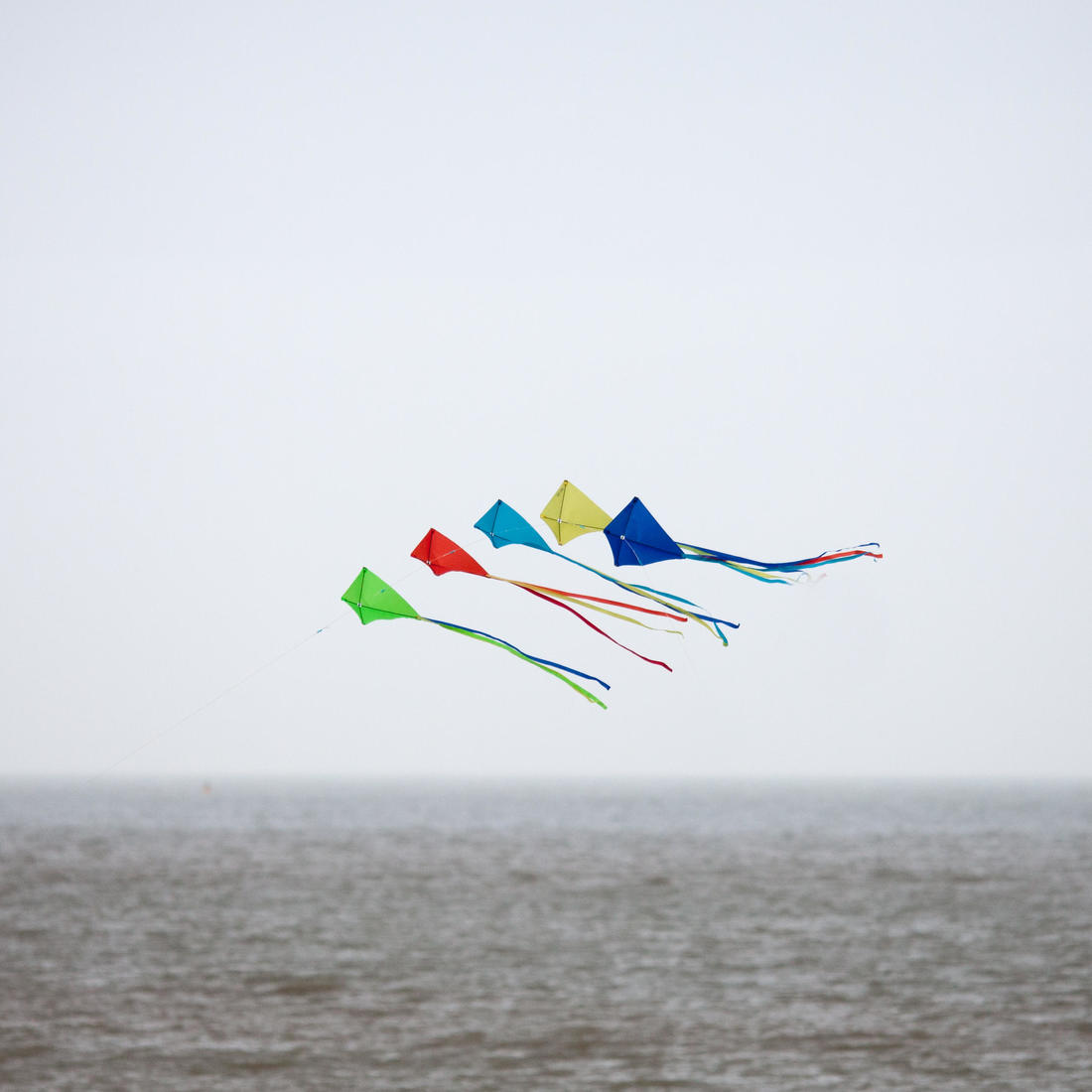 IMG_8494841_3