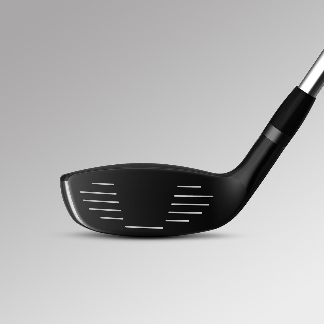 IMG_8550591_3