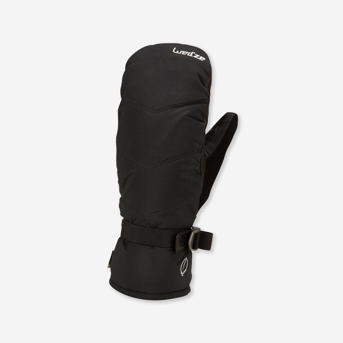 IMG_8398731_1