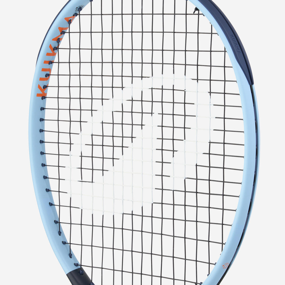IMG_8807654_4