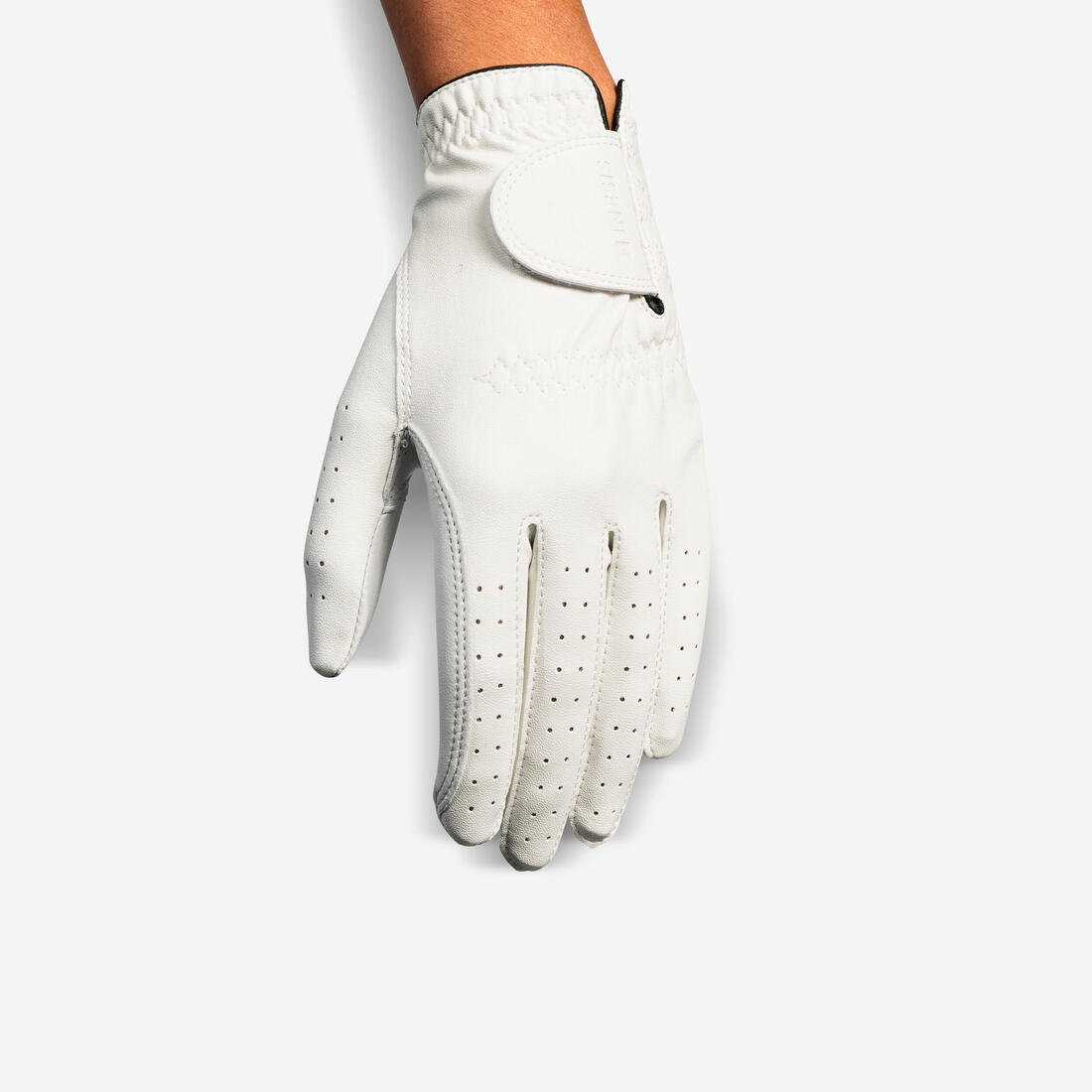 IMG_8540193_2