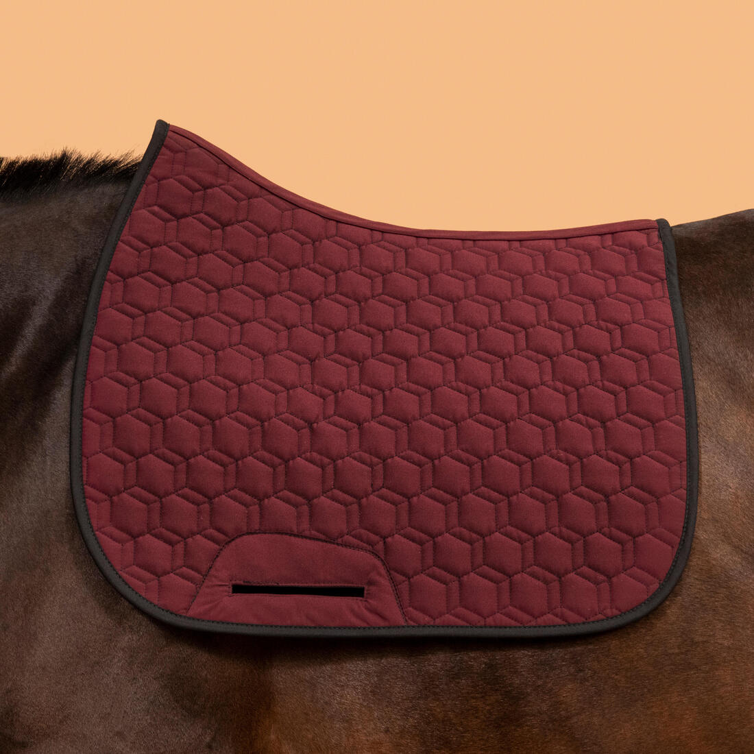 IMG_8757552_4