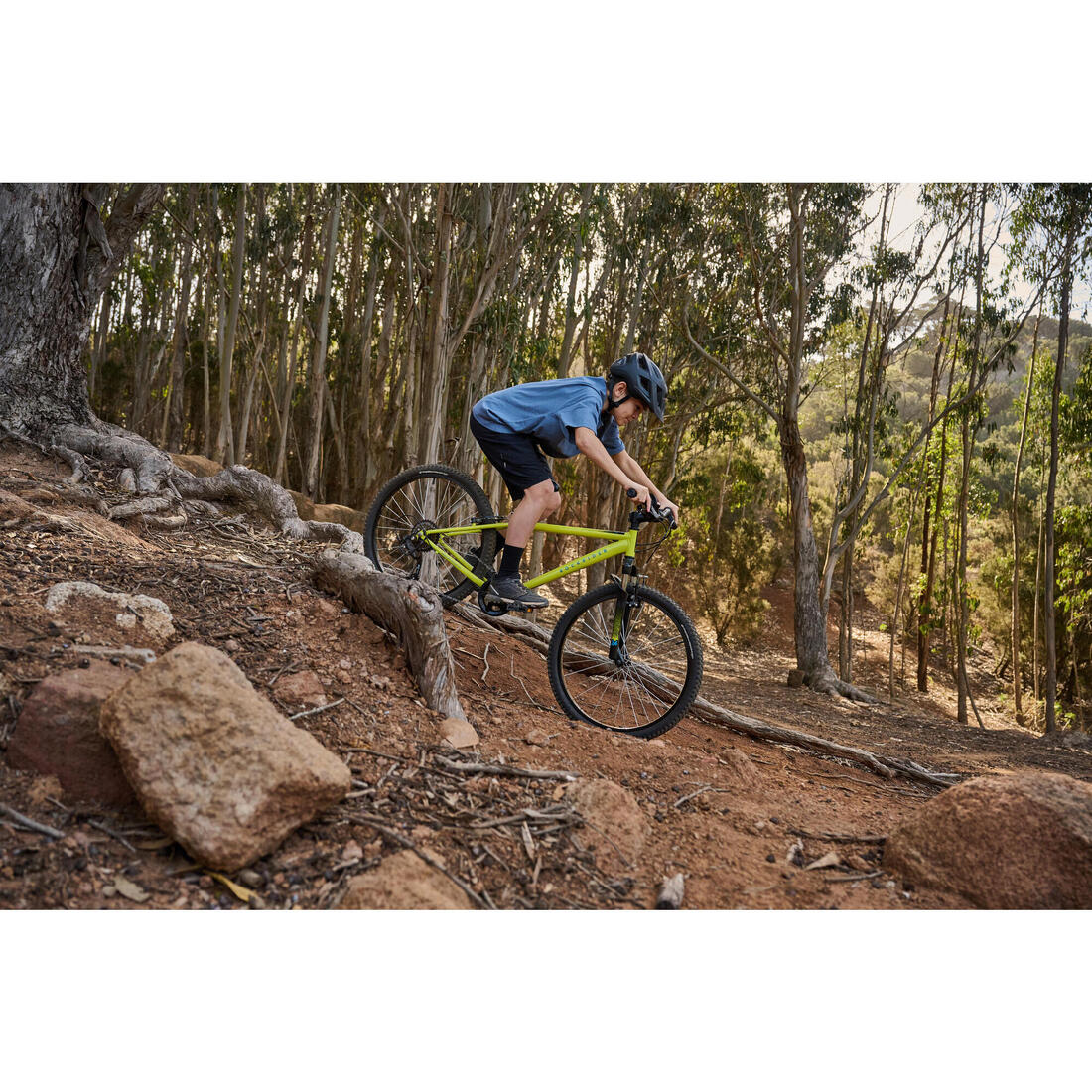 IMG_8733739_13