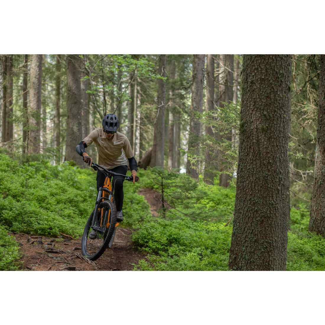 IMG_8677493_15