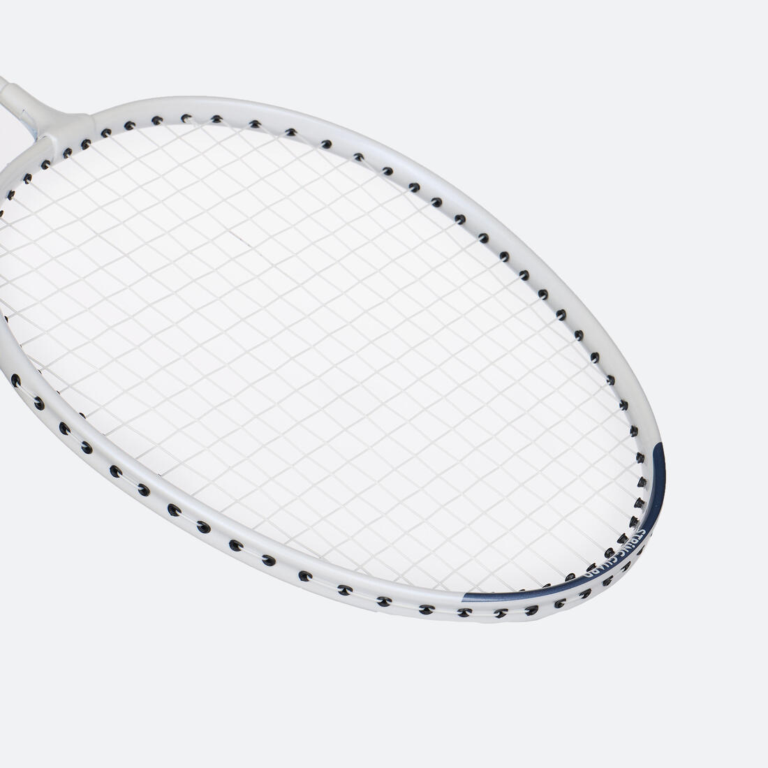 IMG_8998313_8