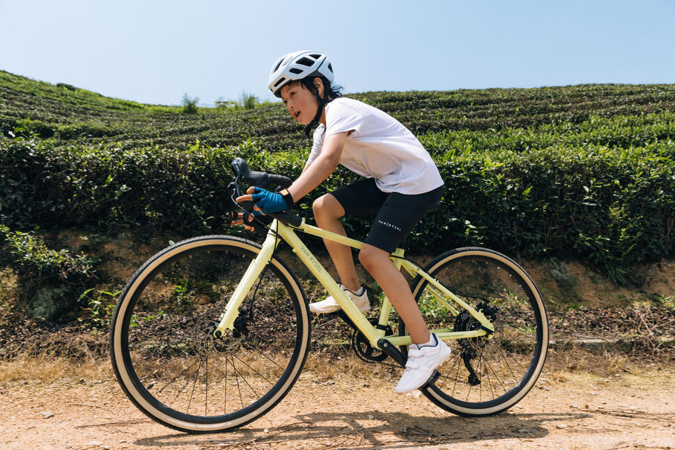 Bicicletas