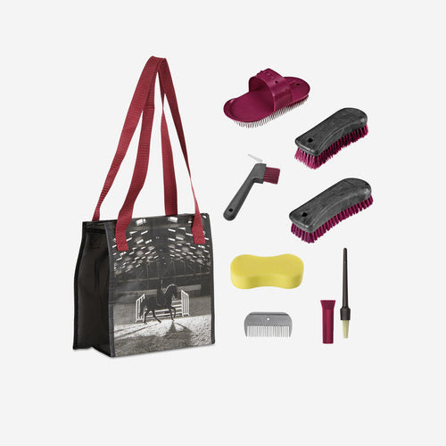 





Kit Limpieza equitación Fouganza Adulto Burdeos