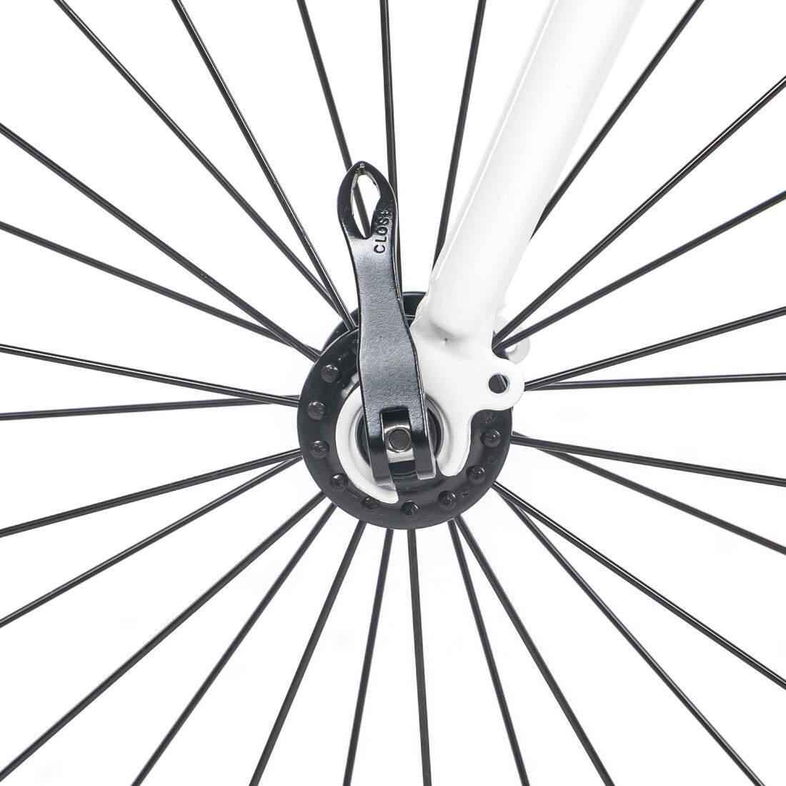 IMG_8767141_11