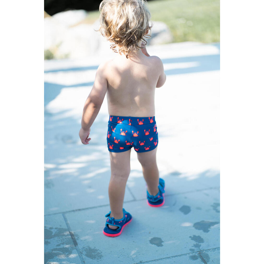 IMG_8616314_4