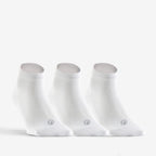 8395040