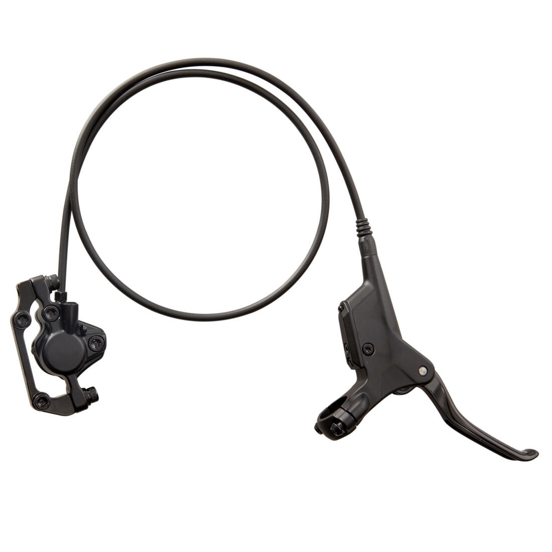 IMG_8555332_1