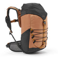 IMG_2399008