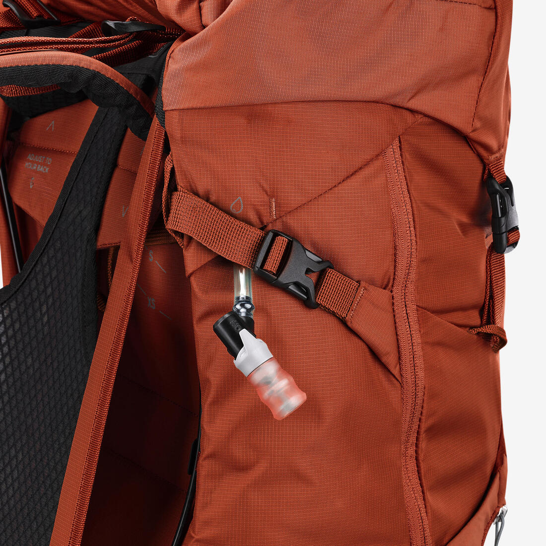 IMG_8920386_8