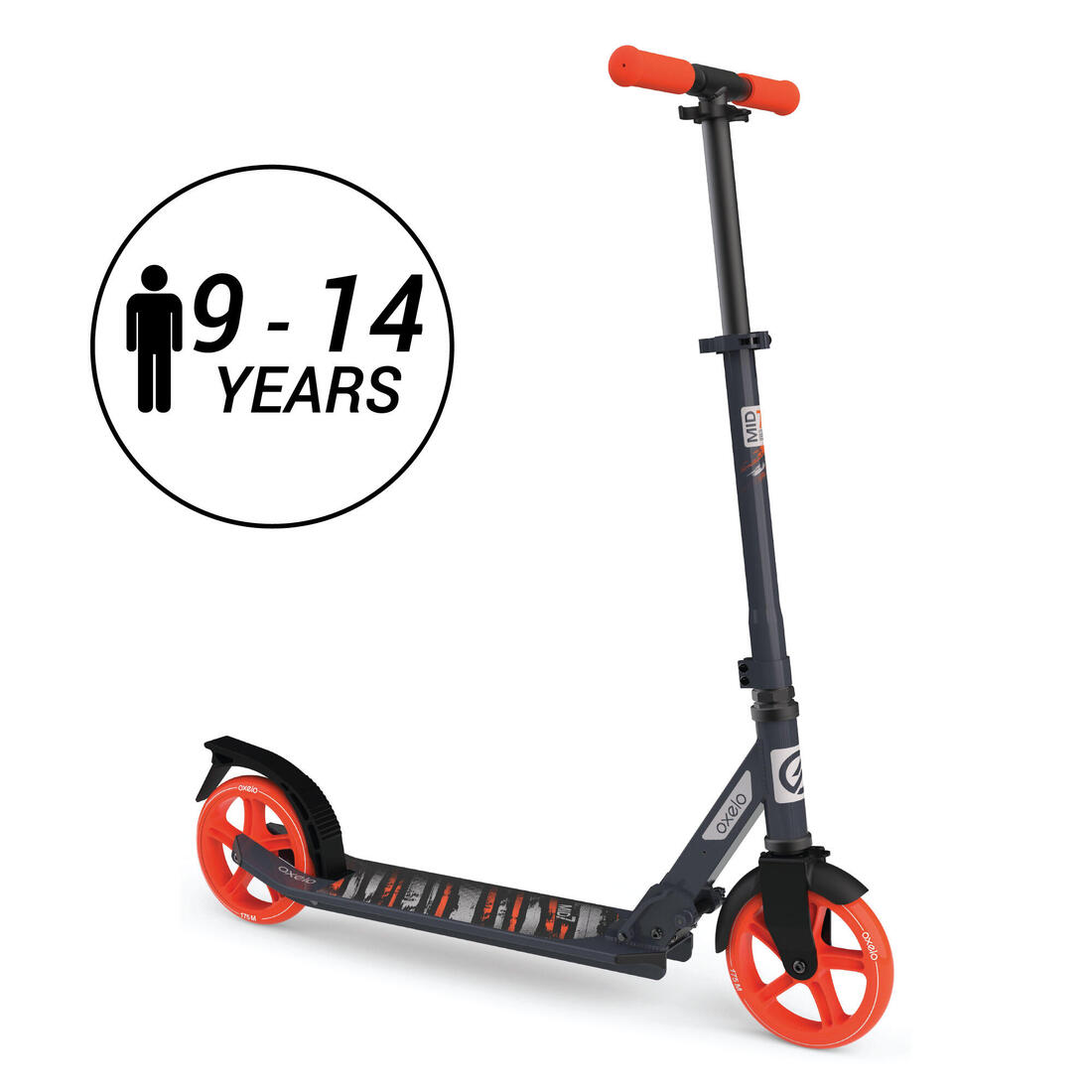 IMG_8549431_11