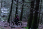 Product thumbnail 21 of 24