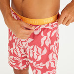 Product thumbnail 3 of 8