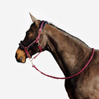 rojo chocolate oscuro