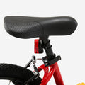 IMG_2663494