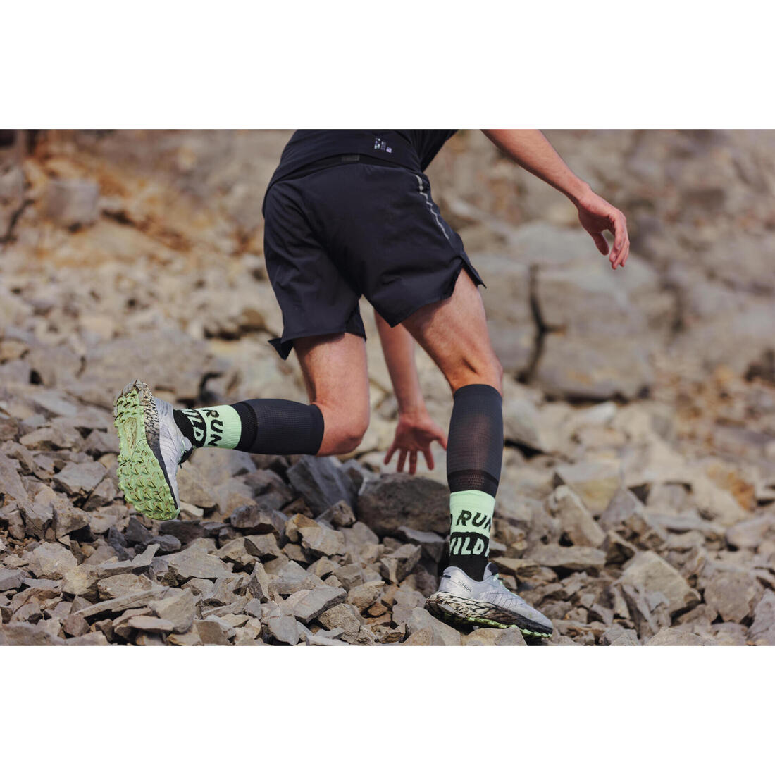 IMG_8841239_8