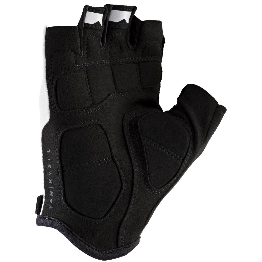 IMG_8787336_2
