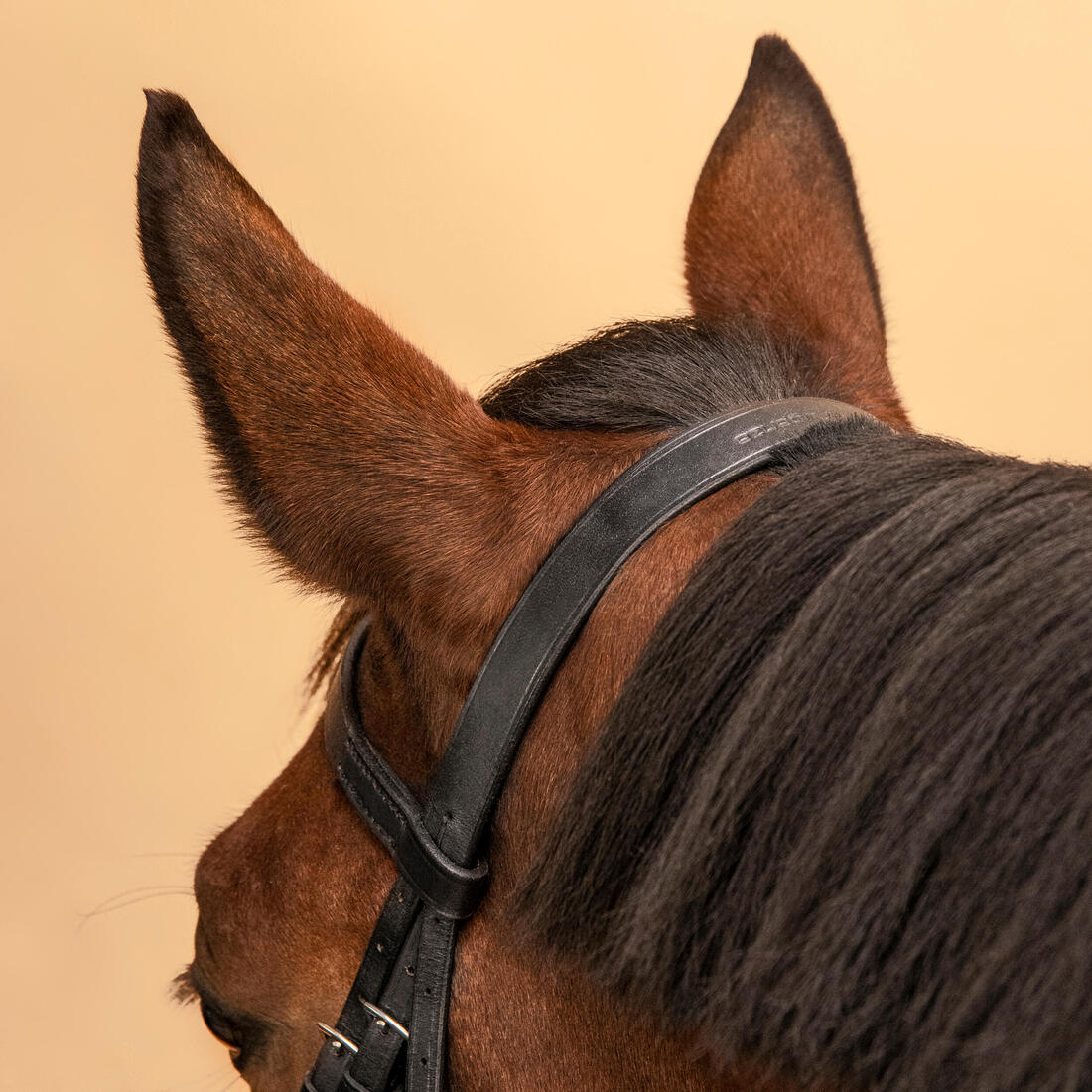 IMG_8339776_5