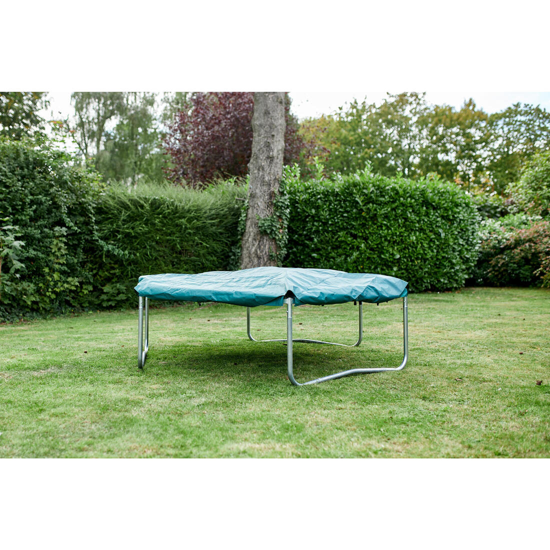 IMG_8517923_7