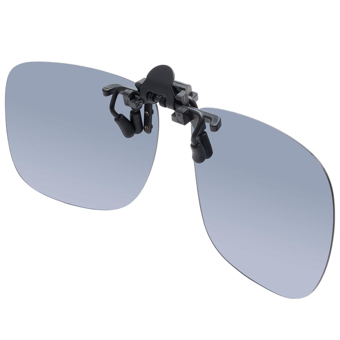 IMG_8583028_2